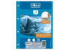BLOCO FICHARIO PAUTADO ACADEMIE 96FL TILIBRA BLOCO FICHARIO PAUTADO ACADEMIE 96FL TILIBRA