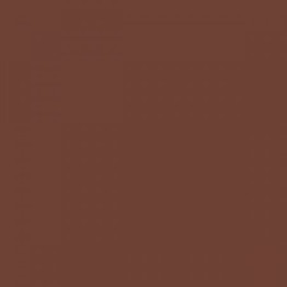 BLS PAPEL ESCOLAR COUCHE/VERNIZ MARROM C/2F