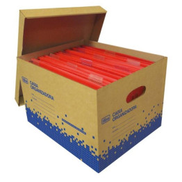 CAIXA ORGANIZADORA PAPELAO KRAFT MULTI USO GRANDE TILIBRA
