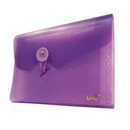PASTA SANFONA A-6 5 DIVISOES LILAS P/ BOLSA DAC 673PP