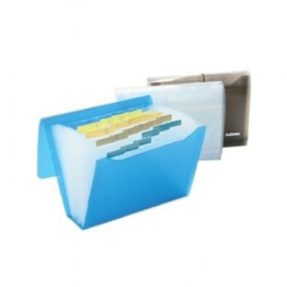 PASTA SANFONA DUPLICATA 31 DIVISOES CRISTAL LINE POLIBRAS 93217