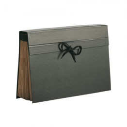 PASTA SANFONA OFICIO 31 DIVISOES PERCALUX DELLO 0700.P