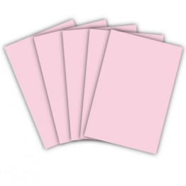 PASTA SIMPLES CARTOLINA 150G 33X50 ROSA C/10FLS