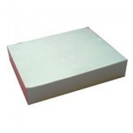 RASCUNHO OFICIO JORNAL 100 FLS 21.5X31.5